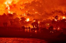 Χαρδαλιάς για φωτιά στην Κορινθία: Στάχτη πάνω από 40.000 στρέμματα