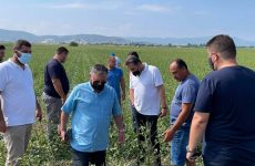 Στο πλευρό των χαλαζόπληκτων παραγωγών η Περιφέρεια Θεσσαλίας