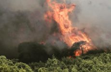 Φωτιές σε Αττική και Εύβοια: Εικόνες απόλυτης καταστροφής