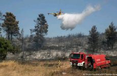 Η διευθύντρια της WWF «γκρεμίζει» τα σενάρια για τις ανεμογεννήτριες σε καμένες εκτάσεις