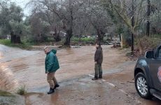 Τεράστιες ζημιές προκάλεσε ο “Διομήδης” στον Δήμο Νοτίου Πηλίου