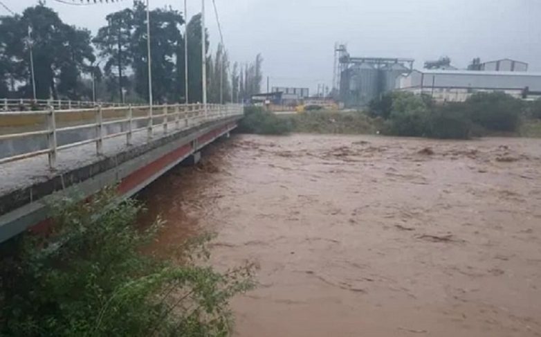 Επέμβαση της Π.Υ. για απομάκρυνση κλαδιών σε καλώδια της ΔΕΗ