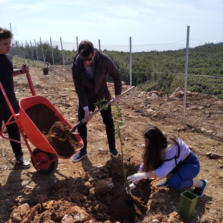 Σε άλσος μετράπηκε χωματερή στο Τρίκερι