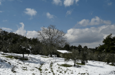 Χιόνια, κρύο και βροχές στην επικράτεια