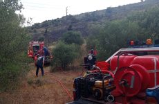 Φωτιά μικρής έκτασης στα Αϊβαλιώτικα Νέων Παγασών