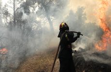 Πυρκαγιά στην περιοχή Γαία Ευβοίας