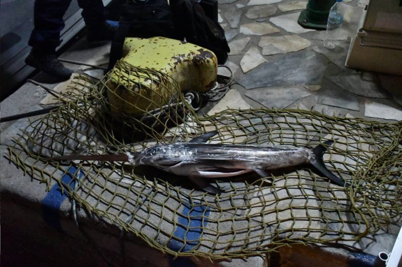 Σύλληψη ψαρά με ξιφία απο τον Λ.Σ. Αλοννήσου