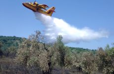 Μάχη με τις φλόγες και σήμερα στη Μαγνησία