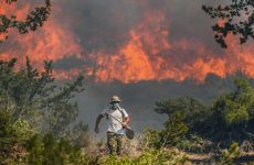 Πυρκαγιές: Σε κάτασταση έκτακτης ανάγκης κηρύχθηκε ολόκληρη η Ρόδος